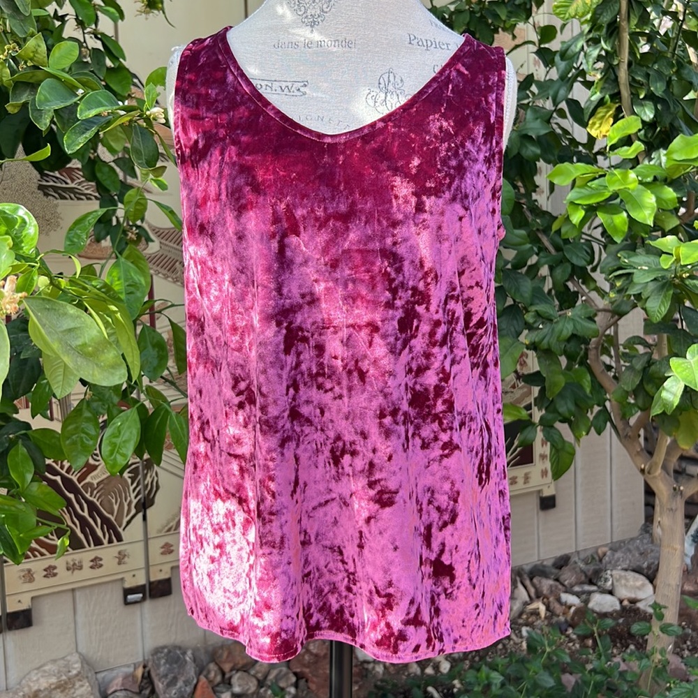 Cynthia Rowley velvet tank